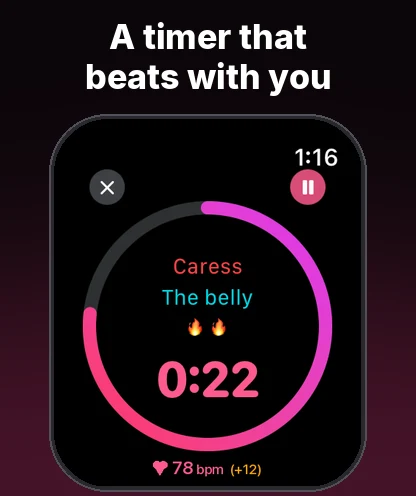 Timer and Pause