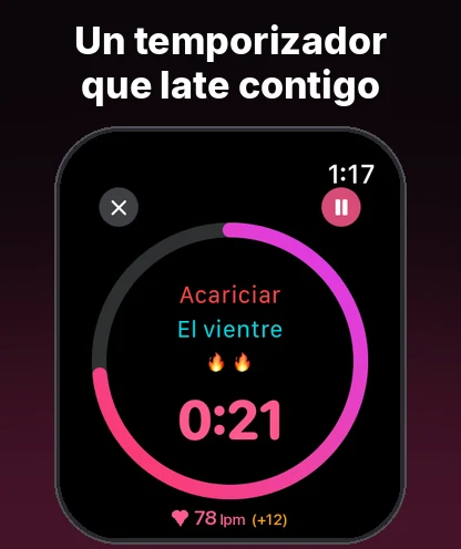 Temporizador y Pausa