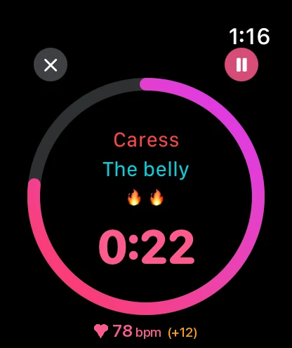 Timer and Pause